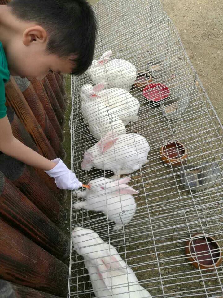 首页- 尊龙集团中国官网入口
